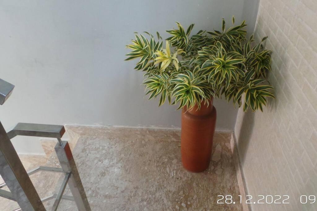 Excelente Casa Com Piscina Villa Camacari Bagian luar foto
